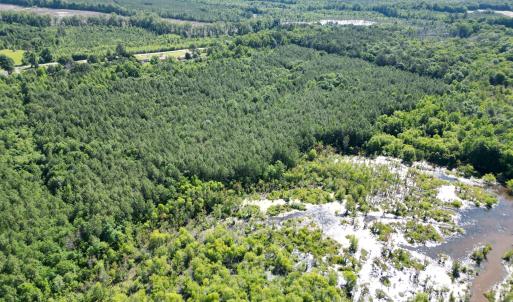 Photo #14 of 33 Heathsville, Enfield, NC 37.2 acres