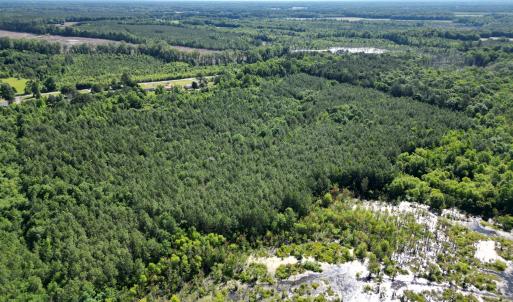Photo #13 of 33 Heathsville, Enfield, NC 37.2 acres