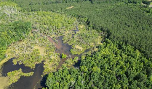Photo #6 of 33 Heathsville, Enfield, NC 37.2 acres