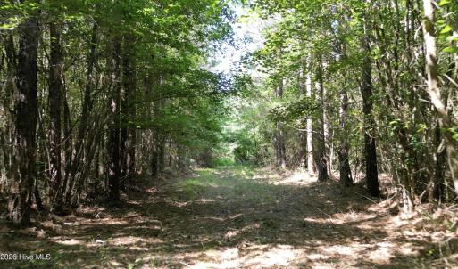 Photo #19 of 33 Heathsville, Enfield, NC 37.2 acres
