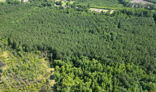 Photo #9 of 33 Heathsville, Enfield, NC 37.2 acres