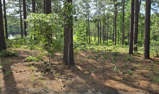 Photo #2 of 101 Owens, Seven Lakes, NC 1.4 acres