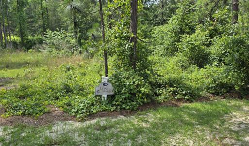 Photo #1 of 101 Owens, Seven Lakes, NC 1.4 acres