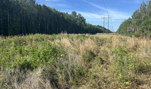 Photo #23 of 2364 Nc 102, Ayden, NC 81.2 acres