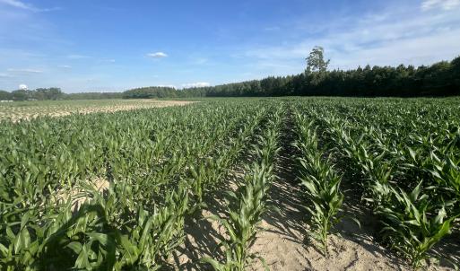 Photo #26 of 2364 Nc 102, Ayden, NC 81.2 acres