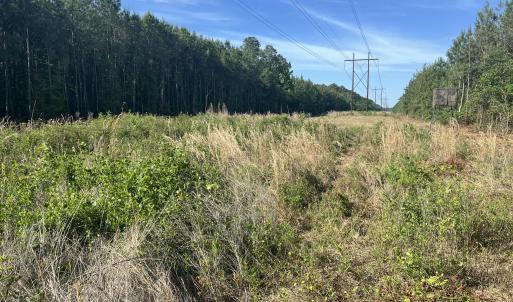 Photo #23 of 2364 Nc 102, Ayden, NC 81.2 acres