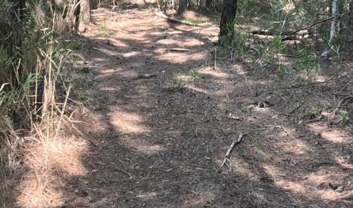 Photo #18 of 2364 Nc 102, Ayden, NC 81.2 acres