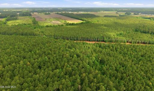 Photo #12 of 2364 Nc 102, Ayden, NC 81.2 acres