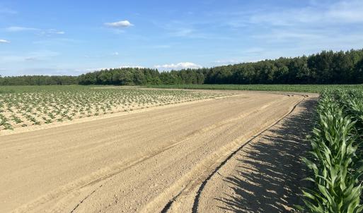 Photo #29 of 2364 Nc 102, Ayden, NC 81.2 acres