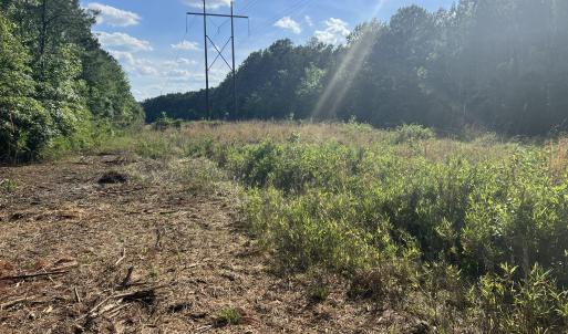 Photo #22 of 2364 Nc 102, Ayden, NC 81.2 acres