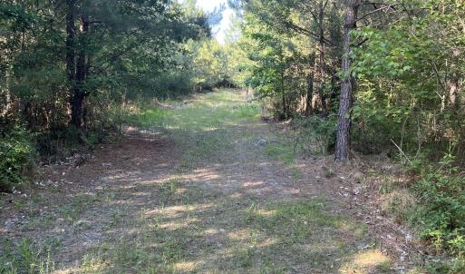 Photo #25 of 2364 Nc 102, Ayden, NC 81.2 acres