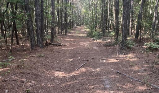Photo #24 of 2364 Nc 102, Ayden, NC 81.2 acres
