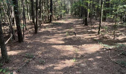 Photo #20 of 2364 Nc 102, Ayden, NC 81.2 acres