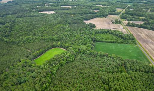 Photo #5 of Tbd Farmers Union, Clarkton, NC 19.1 acres