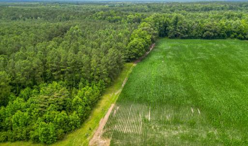Photo #8 of Tbd Farmers Union, Clarkton, NC 19.1 acres