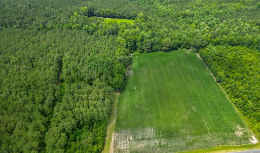 Photo #3 of Tbd Farmers Union, Clarkton, NC 19.1 acres
