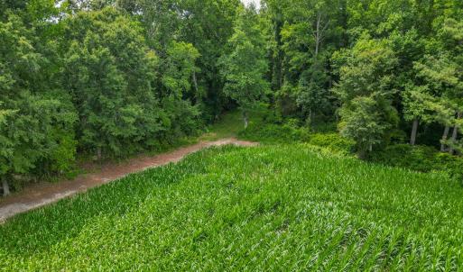 Photo #7 of Tbd Farmers Union, Clarkton, NC 19.1 acres