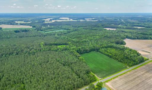 Photo #2 of Tbd Farmers Union, Clarkton, NC 19.1 acres