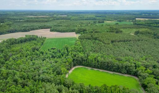 Photo #12 of Tbd Farmers Union, Clarkton, NC 19.1 acres