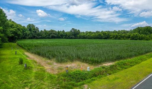 Photo #4 of Tbd Farmers Union, Clarkton, NC 19.1 acres