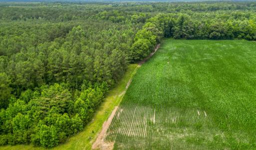 Photo #8 of Tbd Farmers Union, Clarkton, NC 19.1 acres