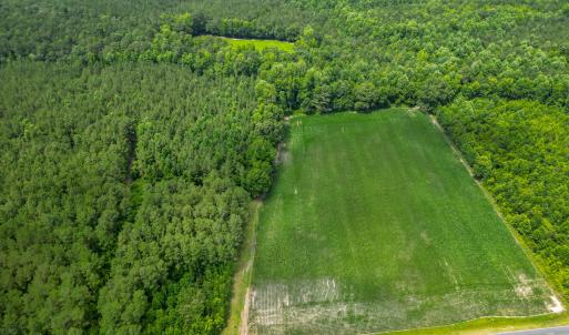 Photo #3 of Tbd Farmers Union, Clarkton, NC 19.1 acres