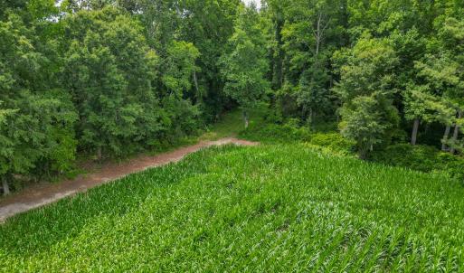 Photo #7 of Tbd Farmers Union, Clarkton, NC 19.1 acres