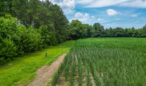 Photo #9 of Tbd Farmers Union, Clarkton, NC 19.1 acres