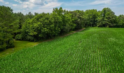 Photo #11 of Tbd Farmers Union, Clarkton, NC 19.1 acres