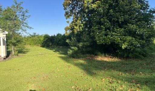 Photo #7 of 5499 Richlands, Jacksonville, NC 19.0 acres