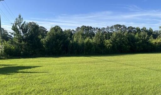 Photo #9 of 5499 Richlands, Jacksonville, NC 19.0 acres
