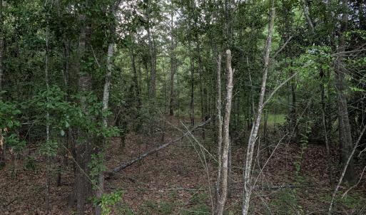 Photo #8 of 285 Garvin, Wagener, SC 5.7 acres