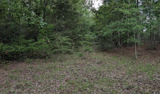 Photo #12 of 285 Garvin, Wagener, SC 5.7 acres