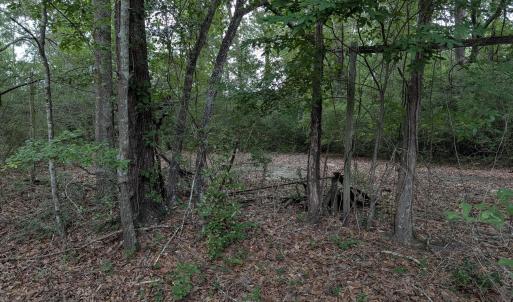 Photo #5 of 285 Garvin, Wagener, SC 5.7 acres
