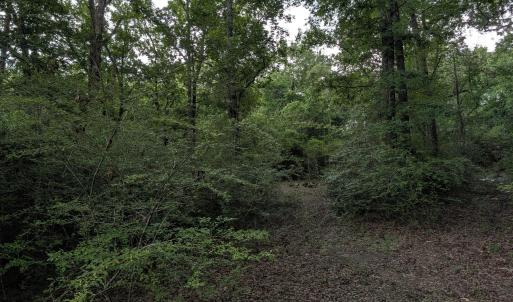 Photo #11 of 285 Garvin, Wagener, SC 5.7 acres