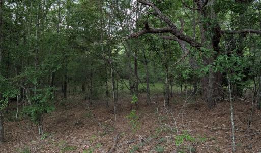 Photo #7 of 285 Garvin, Wagener, SC 5.7 acres