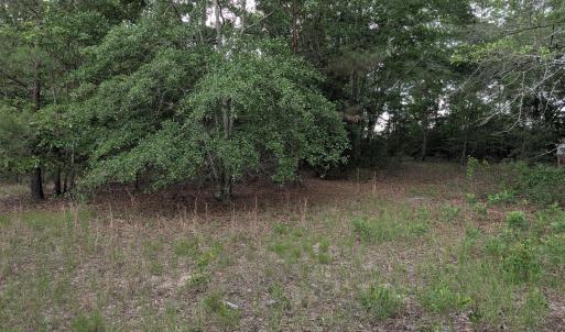 Photo #13 of 285 Garvin, Wagener, SC 5.7 acres