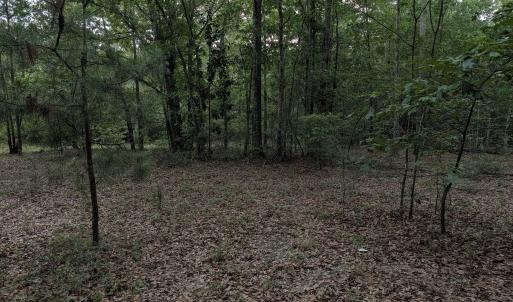 Photo #10 of 285 Garvin, Wagener, SC 5.7 acres