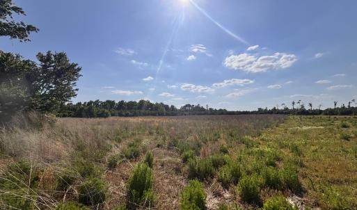 Photo #2 of Lot 2 Bass Lake, Clinton, NC 94.4 acres
