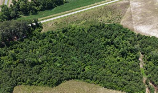 Photo #6 of Lot 2 Bass Lake, Clinton, NC 94.4 acres