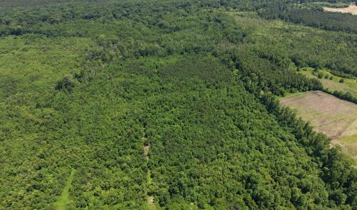 Photo #11 of Lot 2 Bass Lake, Clinton, NC 94.4 acres