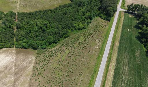 Photo #5 of Lot 2 Bass Lake, Clinton, NC 94.4 acres
