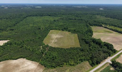 Photo #4 of Lot 2 Bass Lake, Clinton, NC 94.4 acres