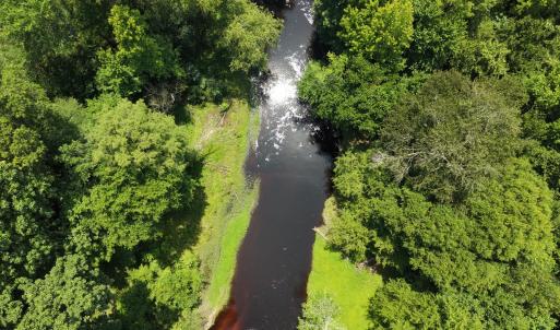 Photo #8 of Lot 2 Bass Lake, Clinton, NC 94.4 acres