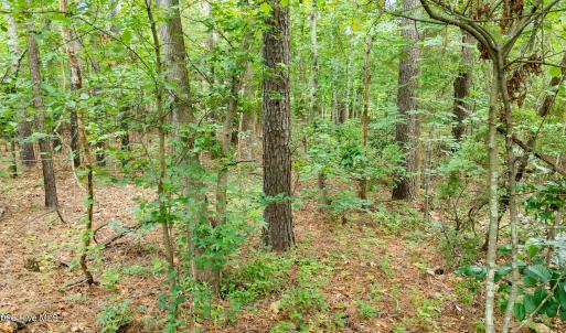Photo #18 of 341 Huntington, Aiken, SC 0.2 acres