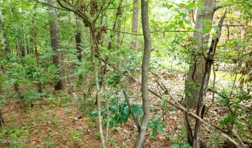 Photo #19 of 341 Huntington, Aiken, SC 0.2 acres