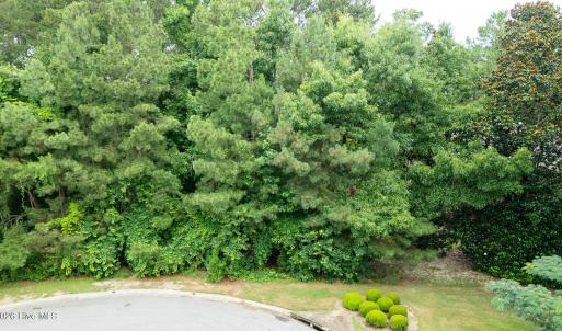 Photo #16 of 341 Huntington, Aiken, SC 0.2 acres