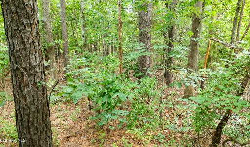 Photo #20 of 341 Huntington, Aiken, SC 0.2 acres