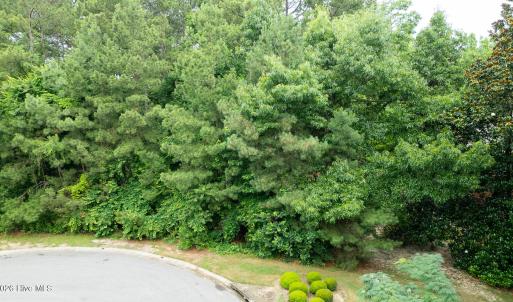 Photo #17 of 341 Huntington, Aiken, SC 0.2 acres