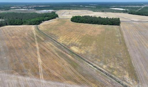 Photo #3 of Tbd Duffie North, Red Springs, NC 34.0 acres